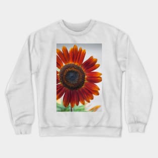 Sunflower Series XV Crewneck Sweatshirt